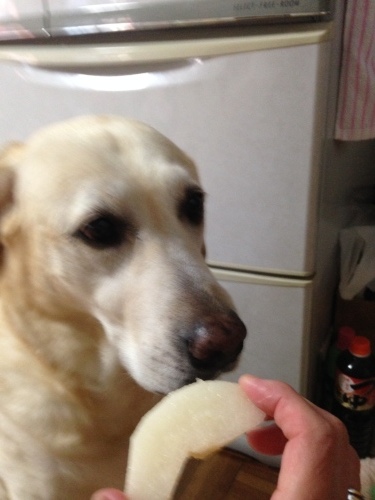 f0315081_10061405.jpeg