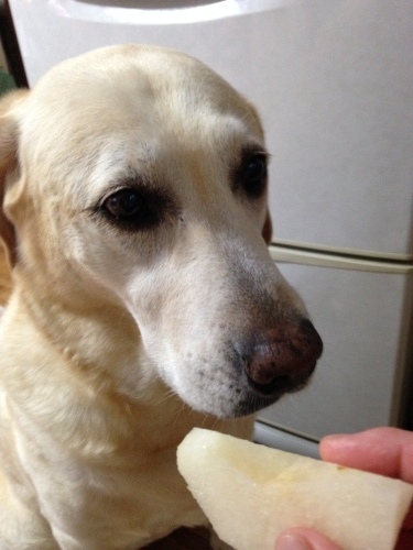 f0315081_10064063.jpeg