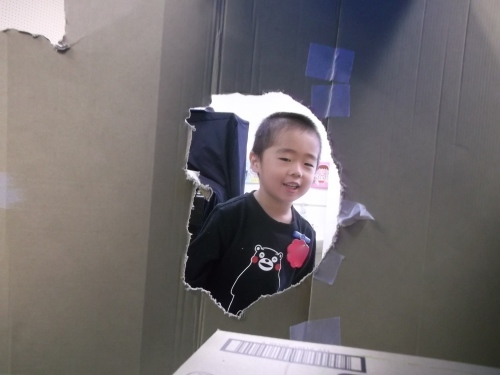 ちゅうりっぷぐみの新居〜建設現場_f0334882_17412369.jpg