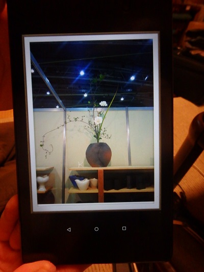 花と器の出会い_d0195183_23221754.jpg