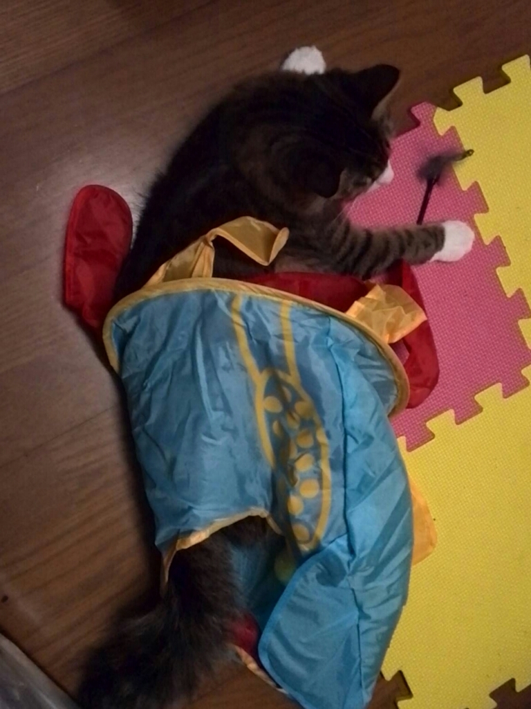 c0369492_09364694.jpg