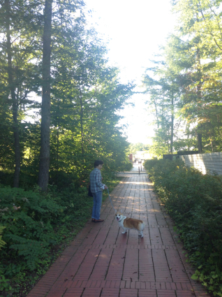 f0229399_22402247.jpg