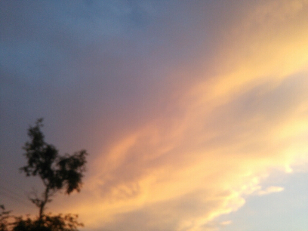 a0333000_01172896.jpg