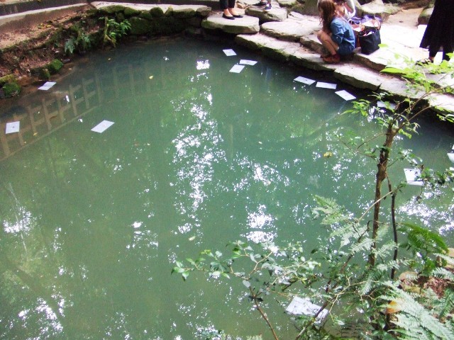 c0062603_05012064.jpg