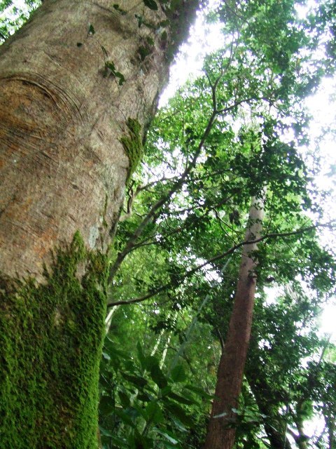 c0062603_05020244.jpg