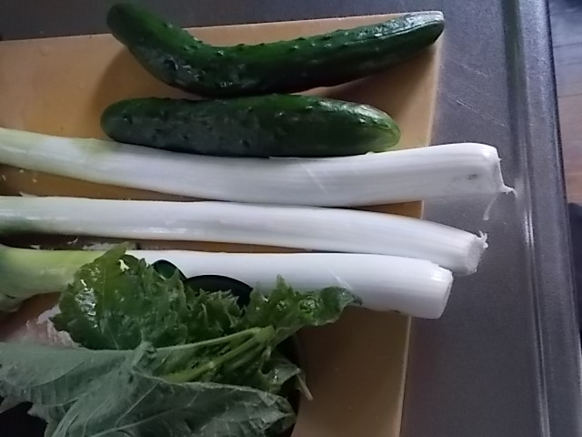 野菜市と味噌ラーメン_f0316507_20451314.jpg