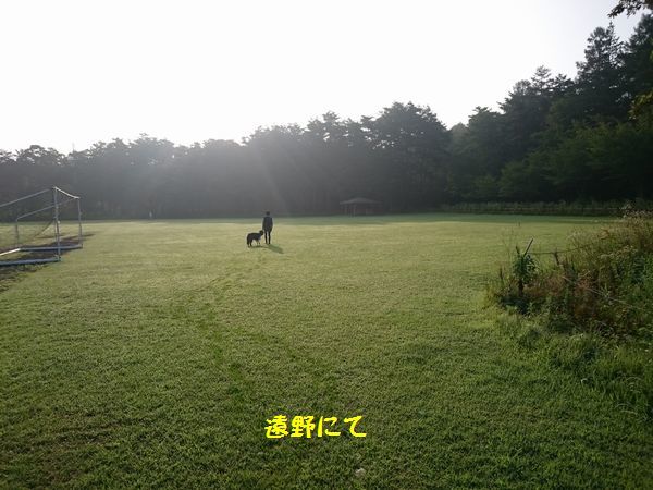 d0224111_19411727.jpg