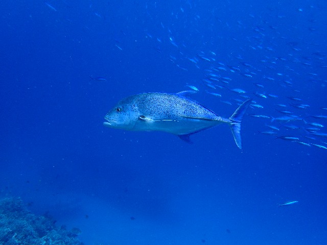 f0043911_13161750.jpg