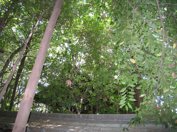 d0287413_19541824.jpg