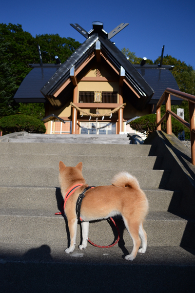 ＊十勝・釧路の旅・・・一日目_e0233220_14441480.jpg