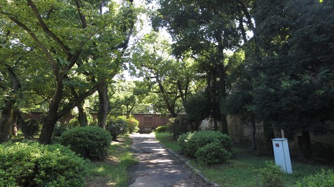 e0202031_14521649.jpg