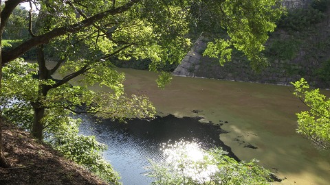 e0202031_14594361.jpg