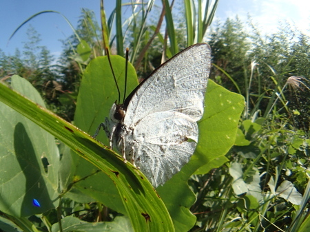 c0353632_15083937.jpg