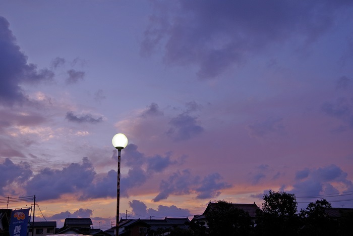 b0312736_20484312.jpg