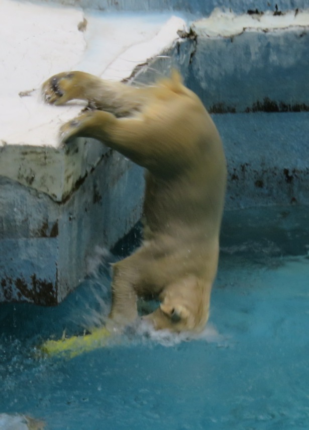 9月17日 その3_f0002743_15155271.jpg