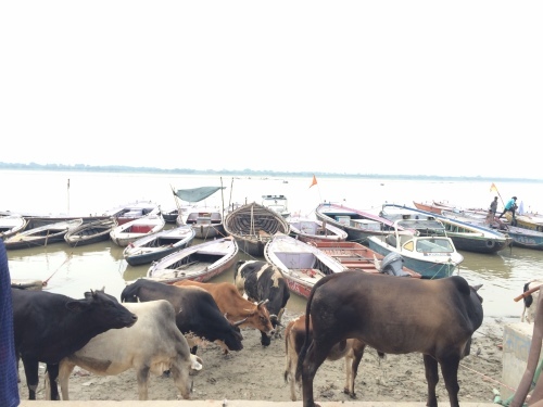 c0206446_19391991.jpeg