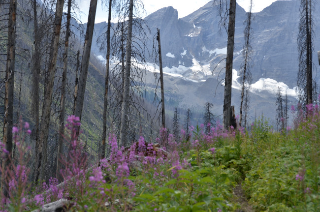 d0002247_15291715.jpg