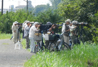 見沼の曼珠沙華見ポタ_e0172950_20122587.jpg