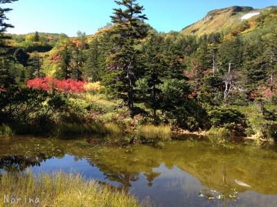 紅葉の大雪高原沼めぐり \'15/09/17_e0326953_2210162.jpg