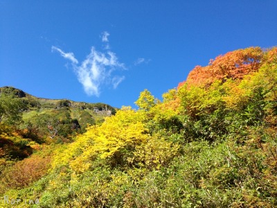 紅葉の大雪高原沼めぐり \'15/09/17_e0326953_22273135.jpg