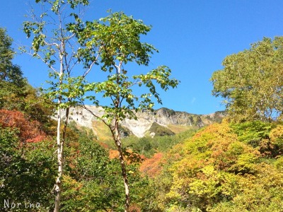 紅葉の大雪高原沼めぐり \'15/09/17_e0326953_22284599.jpg