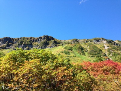 紅葉の大雪高原沼めぐり \'15/09/17_e0326953_2234190.jpg