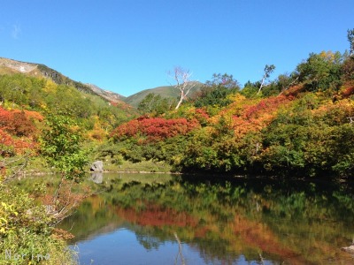紅葉の大雪高原沼めぐり \'15/09/17_e0326953_2240172.jpg