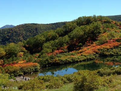 紅葉の大雪高原沼めぐり \'15/09/17_e0326953_22471540.jpg