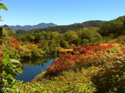 紅葉の大雪高原沼めぐり \'15/09/17_e0326953_22533163.jpg