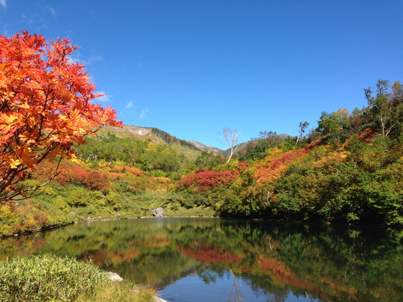紅葉の大雪高原沼めぐり \'15/09/17_e0326953_2314362.jpg