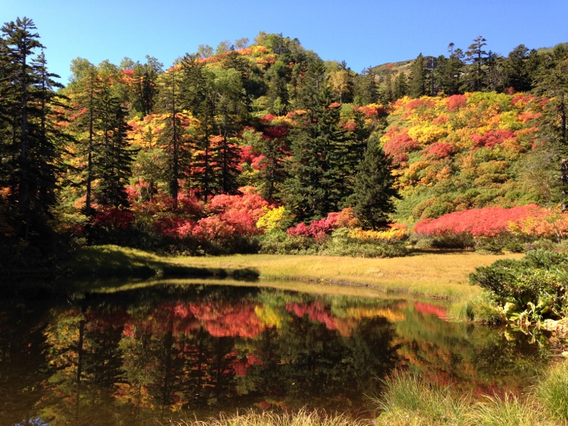 紅葉の大雪高原沼めぐり \'15/09/17_e0326953_2342086.jpg