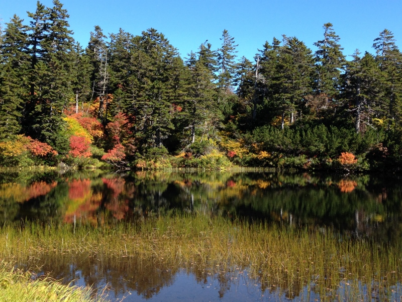 紅葉の大雪高原沼めぐり \'15/09/17_e0326953_2351229.jpg