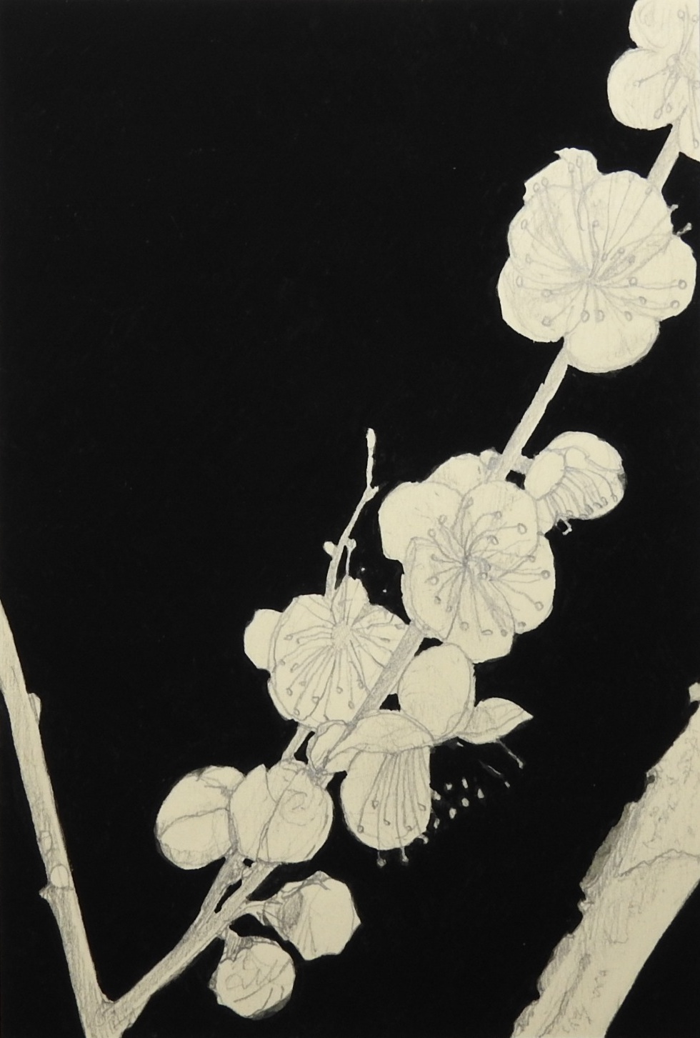 e0338755_10362650.jpg