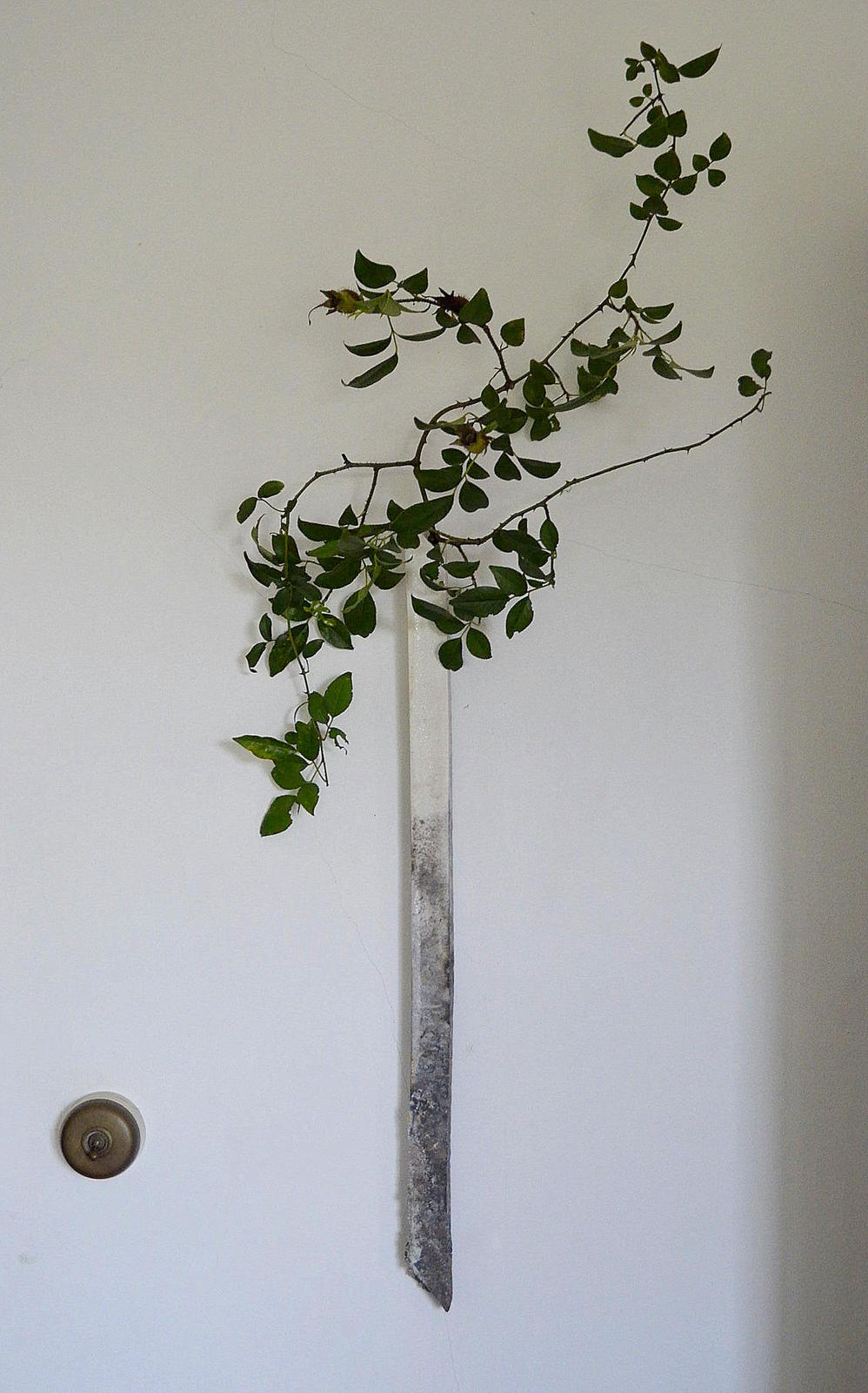 「 田淵太郎 展 白ノ幽玄 」 花ノ光_d0087761_18101737.jpg