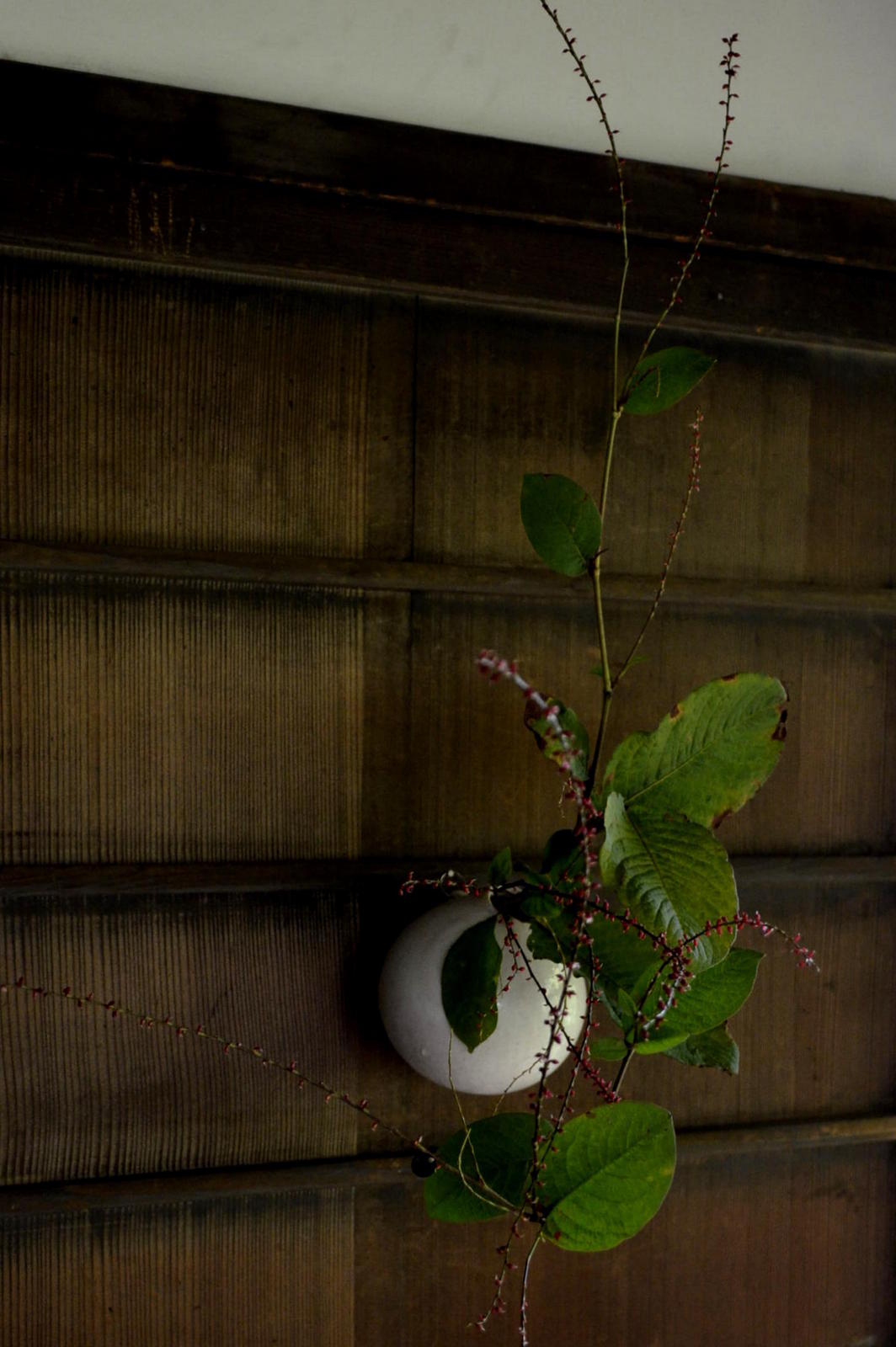 「 田淵太郎 展 白ノ幽玄 」 花ノ光_d0087761_18254615.jpg