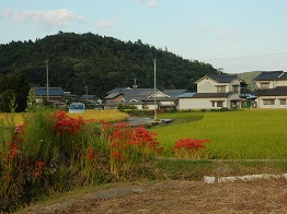 e0175370_2012187.jpg