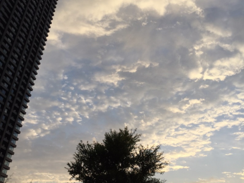 a0261573_863469.jpg