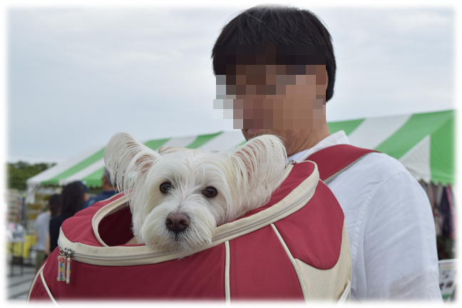 b0242873_01462890.png