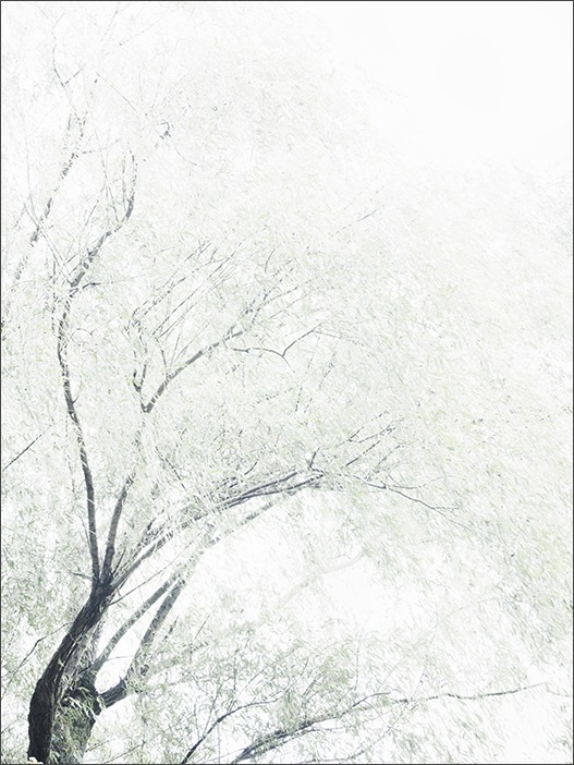 連休ですね。_a0161380_1301845.jpg