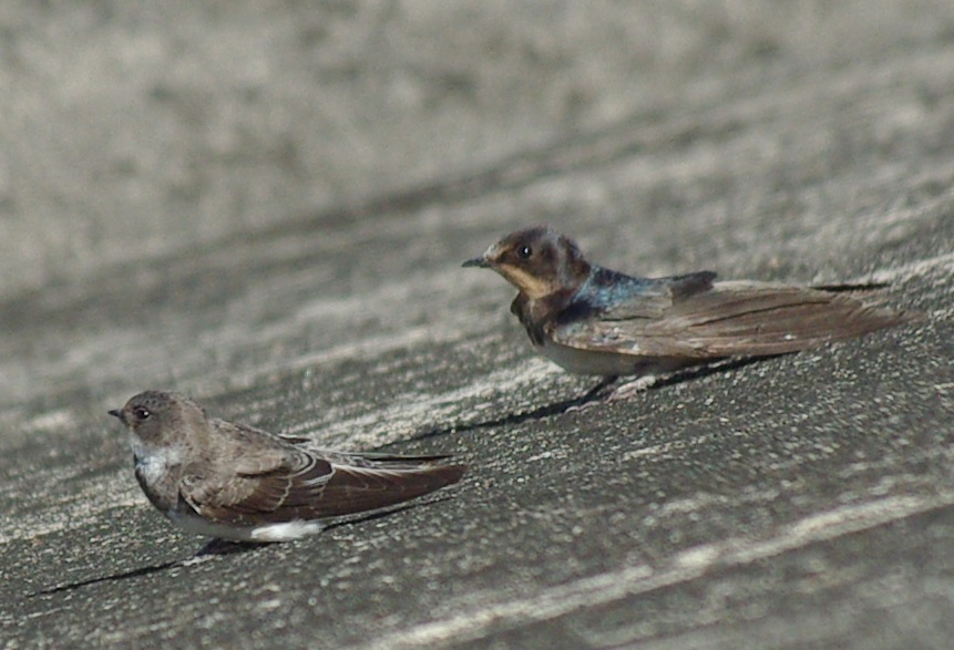 b0028598_21144327.jpg