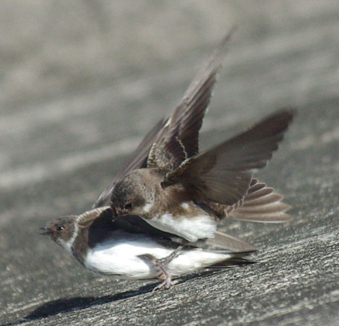 b0028598_2115167.jpg