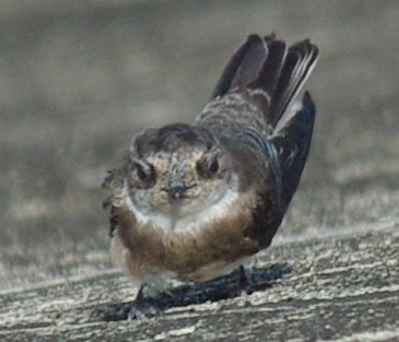 b0028598_21154754.jpg