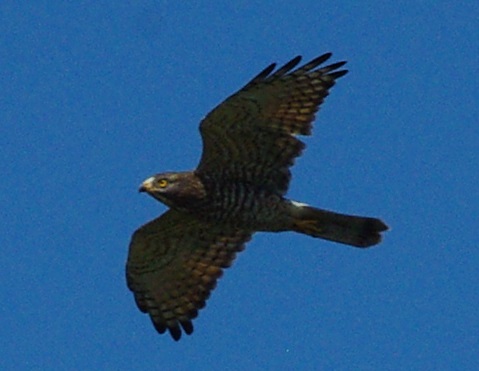 b0028598_2118897.jpg