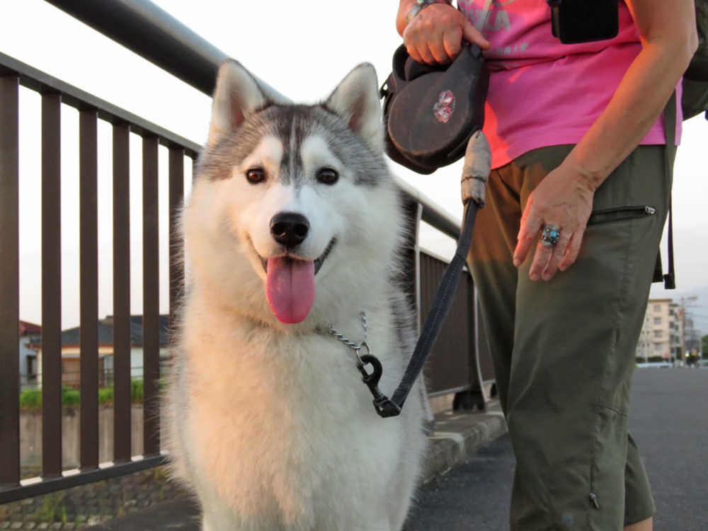 我が家の周回コース♪ (^o^)_c0049299_21445759.jpg