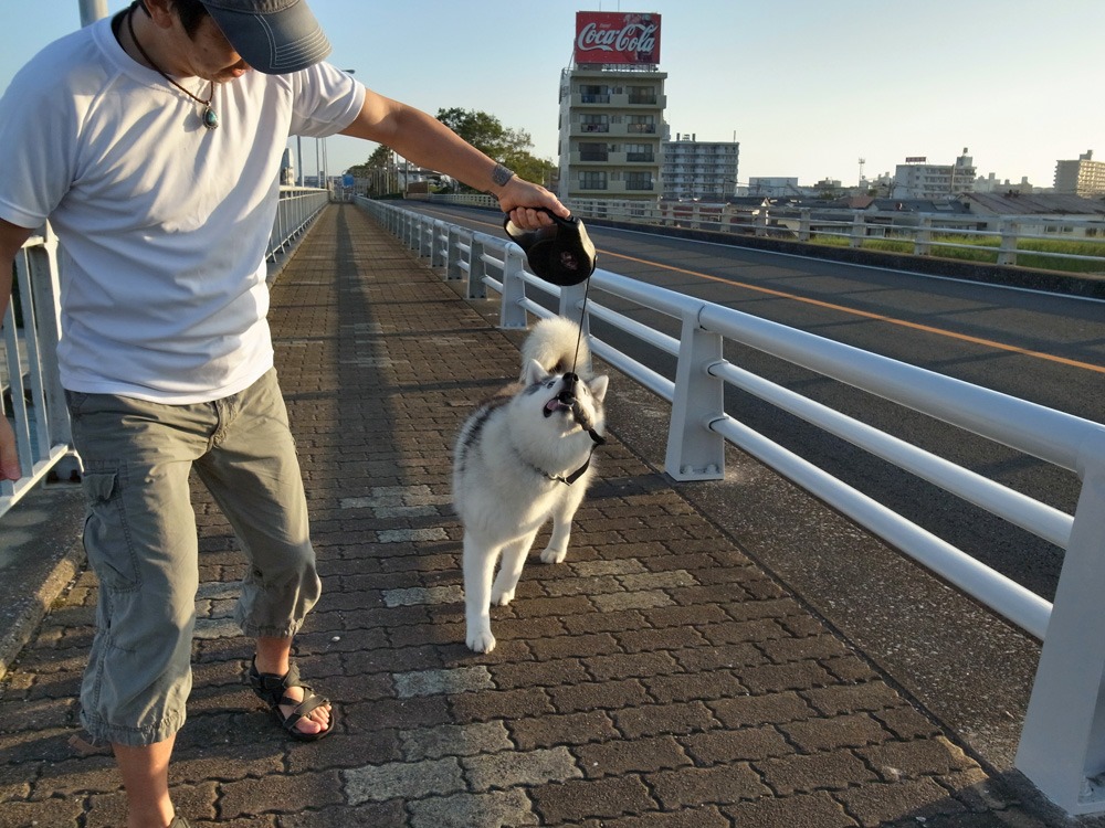 我が家の周回コース♪ (^o^)_c0049299_21523379.jpg
