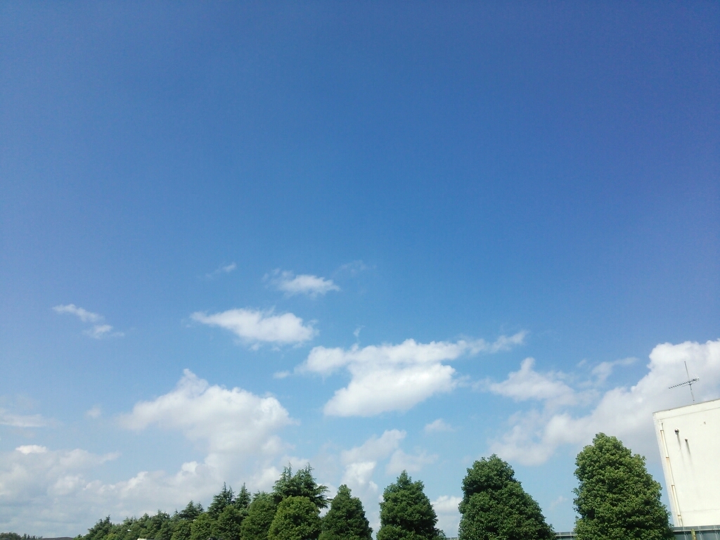 a0333000_00565429.jpg