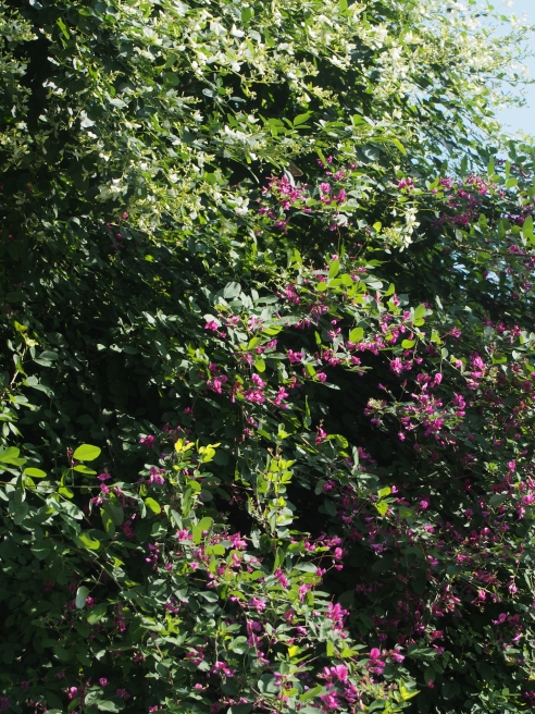 c0220700_12055157.jpg