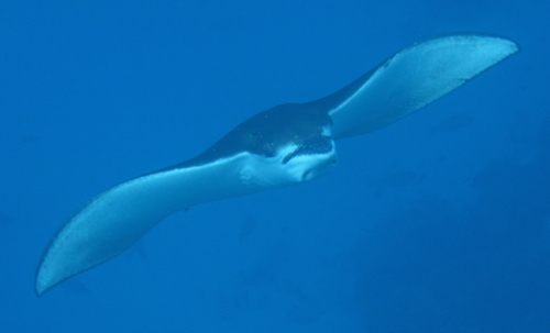 e0338303_17431227.jpg