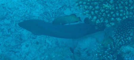 e0338303_174320100.jpg