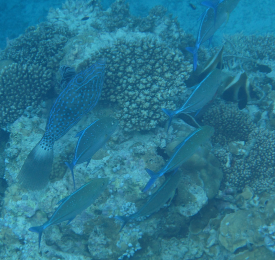 e0338303_17444242.jpg